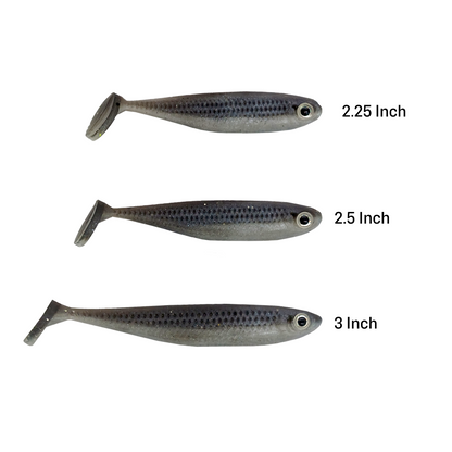 Foundation Minnow