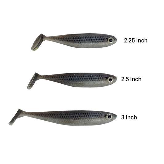Foundation Minnow
