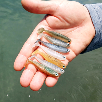 Foundation Minnow