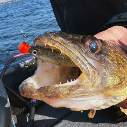 Pinging Jig